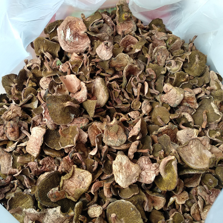 Свежий необработанный гриб Boletus Pinophilus по конкурентоспособной цене