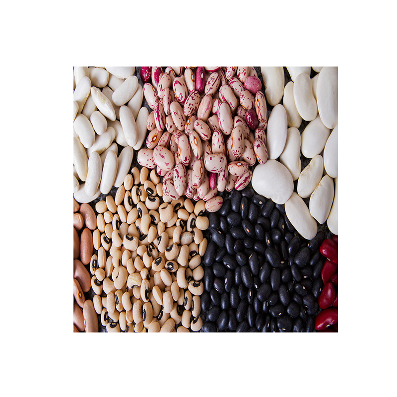 Dried Green Mung Bean for Sprouting Big Size Wholesale Mung Beans Seeds Max Bag Bulk Style Time Packing Packaging