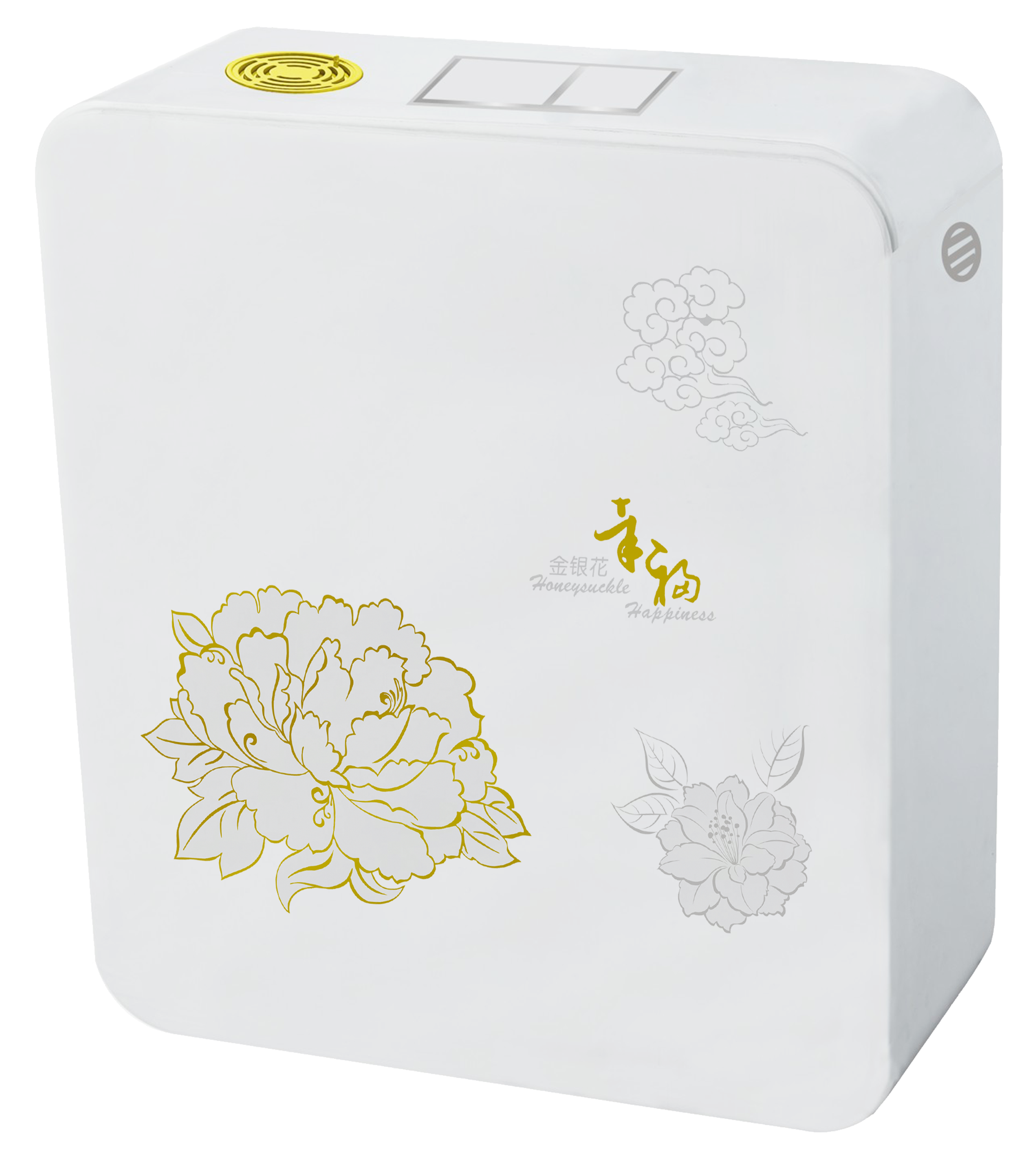 Резервуар для воды PP Dual Flush Tank AC-810