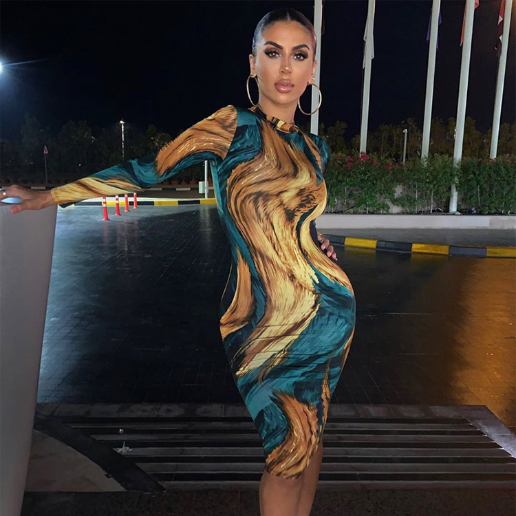 Винтажные печатные стоячий воротник Bodycon цельные женские платья