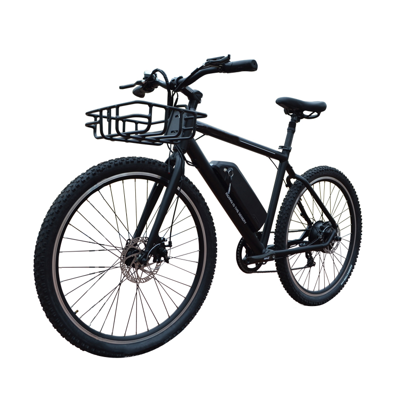 China manufacture cheap 2 wheel 1000w fat tire electric bike with high quality for sale