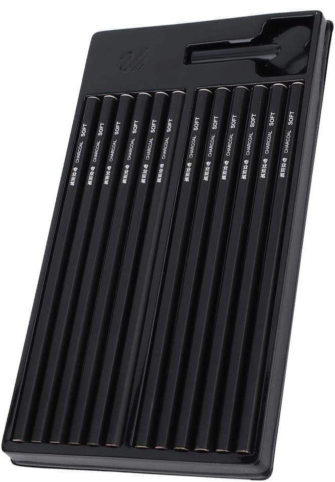 Erasable charcoal painting set, 12 lightweight professional black charcoal pens, sketch drawing for beginners
