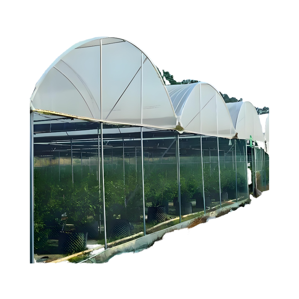 For Tomato Farms Low-Cost Film Tunnel with Galvanized Steel Frame for Plant Agriculture Use Large Square Greenhouse Rain Shelter