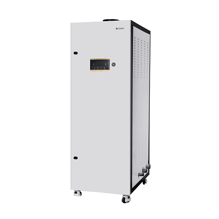 Quality 300kw Low Nitrogen Condensing Commercial Natural Gas Fireplace Furnace