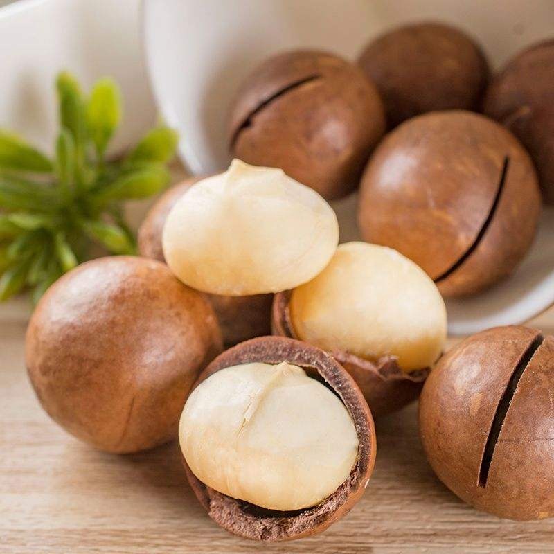 High Quality Macadamia Nuts With Shell Raw Organic Bulk Nuts Macadamia Nuts Wholesales