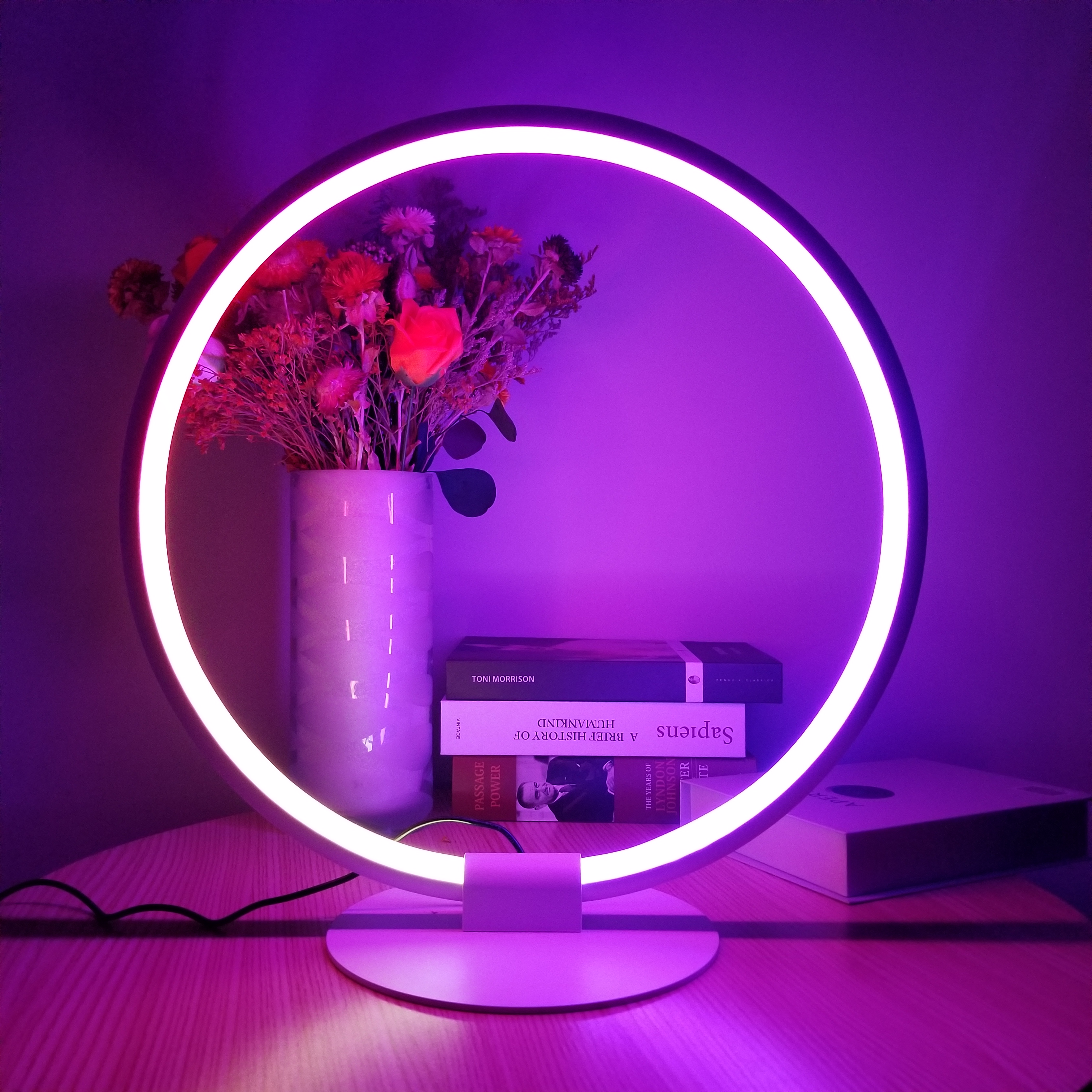 Nordic Antique Design Bedside Bedroom Bar Table Lamp Portable RGB Smart Night Light Moon