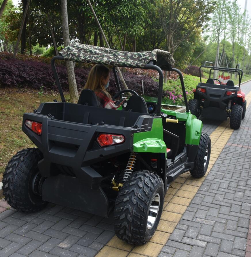 Дорожный гоночный карт Eec 800cc 500cc багги Buggi велосипеды детский велосипед Utv Quad 4x4 автоматический