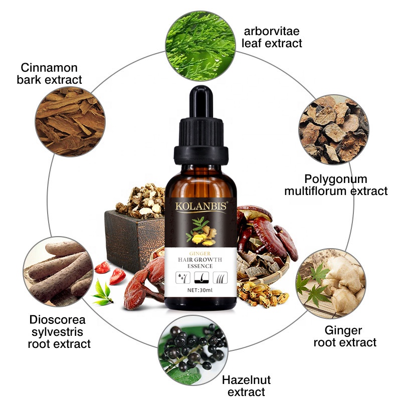 100% Natural Organic Herbal Hair Growth Oil Tonic Anti Hair Loss Private Label