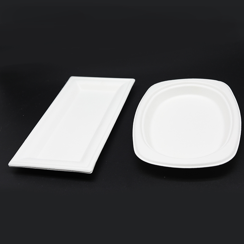 Sugarcane Bagasse контейнер для еды рисовая и лапша тарелка биоразлагаемая одноразовая Экологически чистая