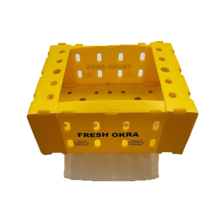 polypropylene Cartonplast fruit box for cabbage
