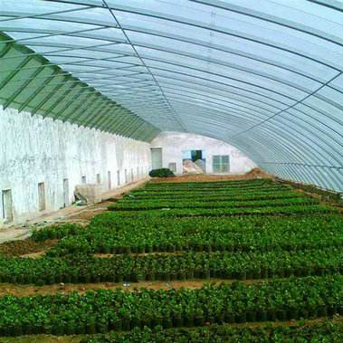 Brick Wall Solar Greenhouses with Insulation Blanket for Vegetables/Flowers/Strawberry/Hydroponics Growing