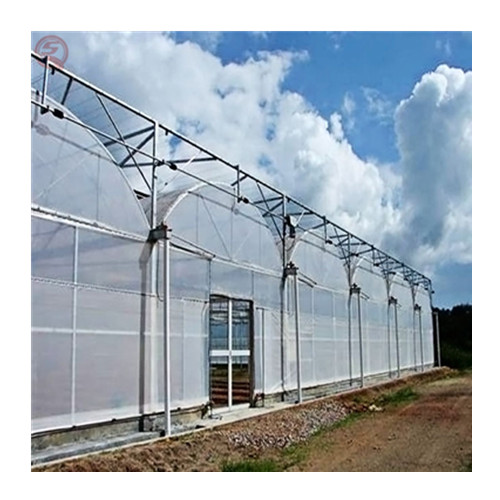 agricultural hydroponic system high efficiency multi span film greenhouse for fish-vegetable hydroponics