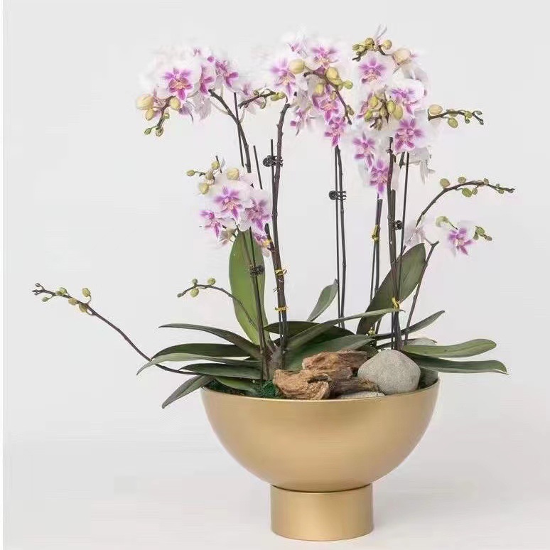 gold bowl shape iron flower pot metal vase for flowers for home decoration household vases