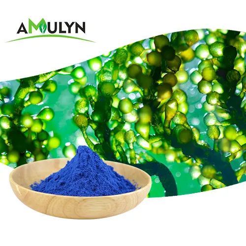 Water Soluble Phycocyanin Blue Spirulina Powder E18 M18 Sugar Free