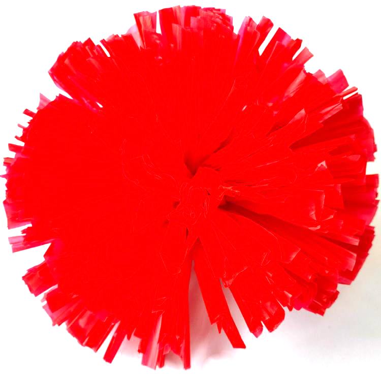 Chinese Manufacturer Cheerleading Supplies Pompoms Carry Pompoms