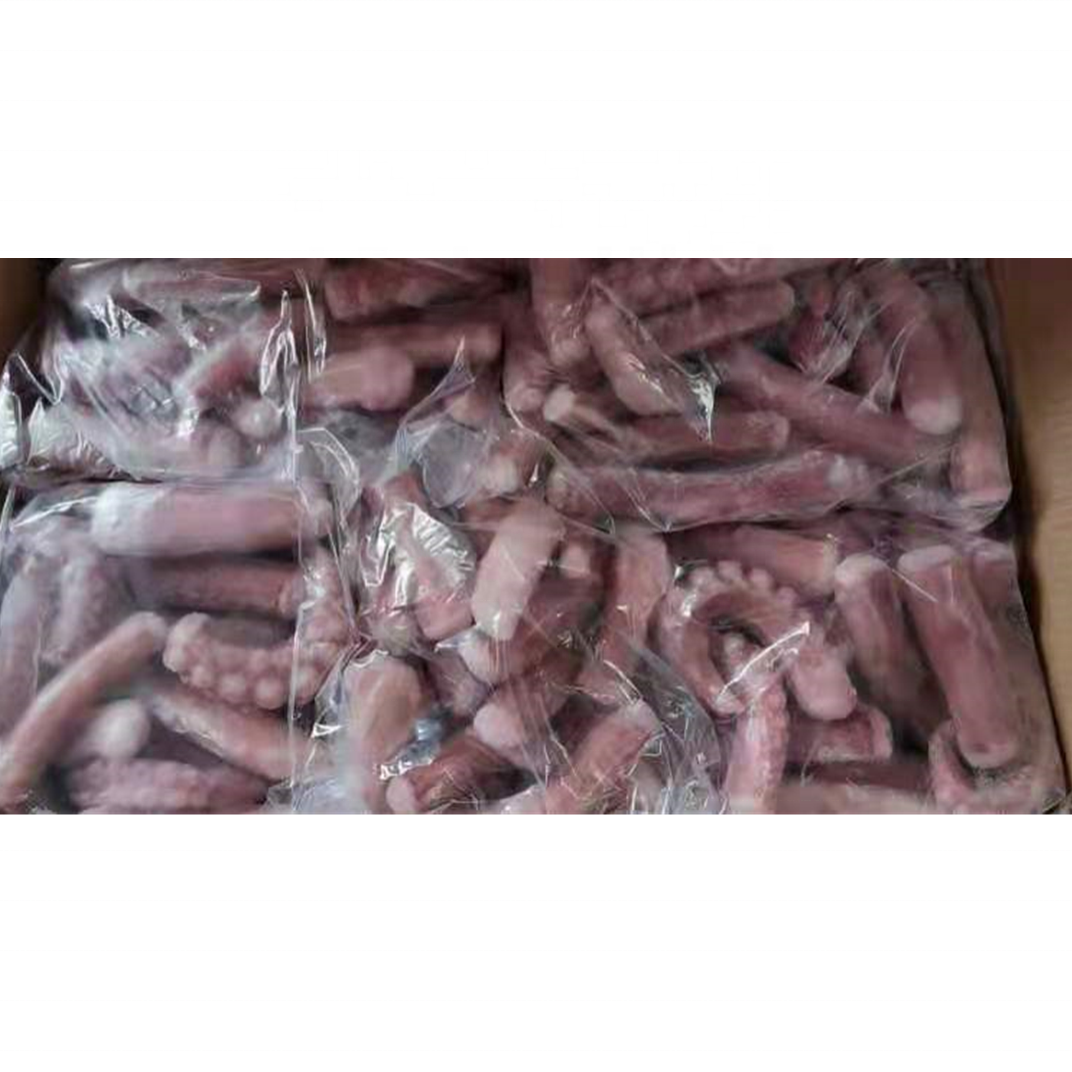 good sale frozen squid feeding tentacle
