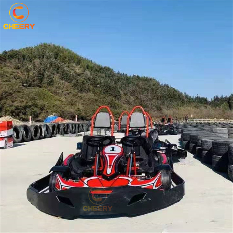 Роскошные двойные сиденья для взрослых с сертификатом CE, карты 200CC 6.5HP, картинговые машины с линейным резьбовым ограждением
