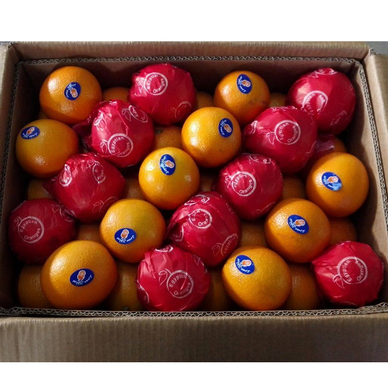 Hot Selling Big Size Valencia Natural Sweet Flavor Fresh Mandarin Tangerine Fruit Orange