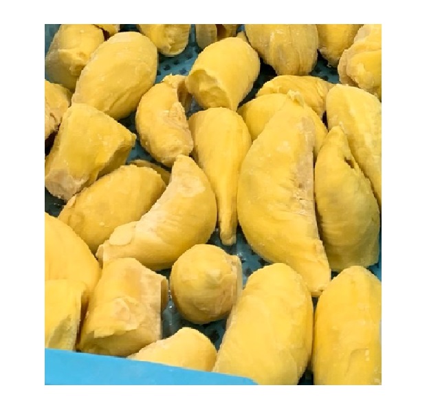Best Seller 2021& Premium Product Chanee Grade A from Thailand Fresh Durians Fruits