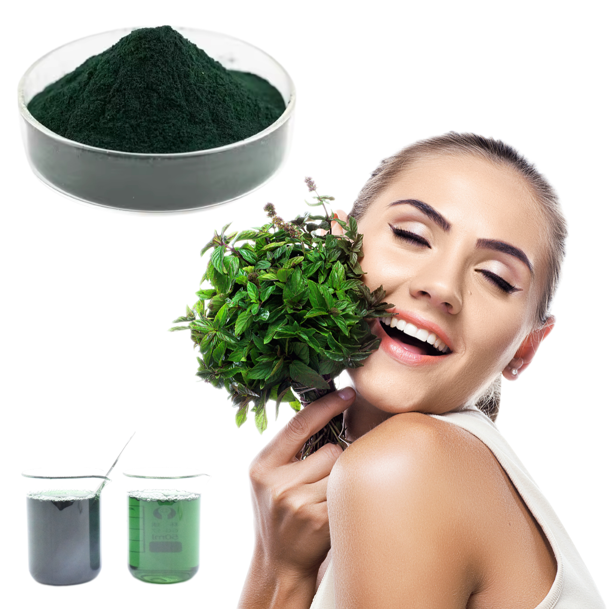 Food Natural Green Pigment Bulk Chlorophyllin Powder Pure Mulberry Leaf Extract Sodium Copper Chlorophyllin Powder