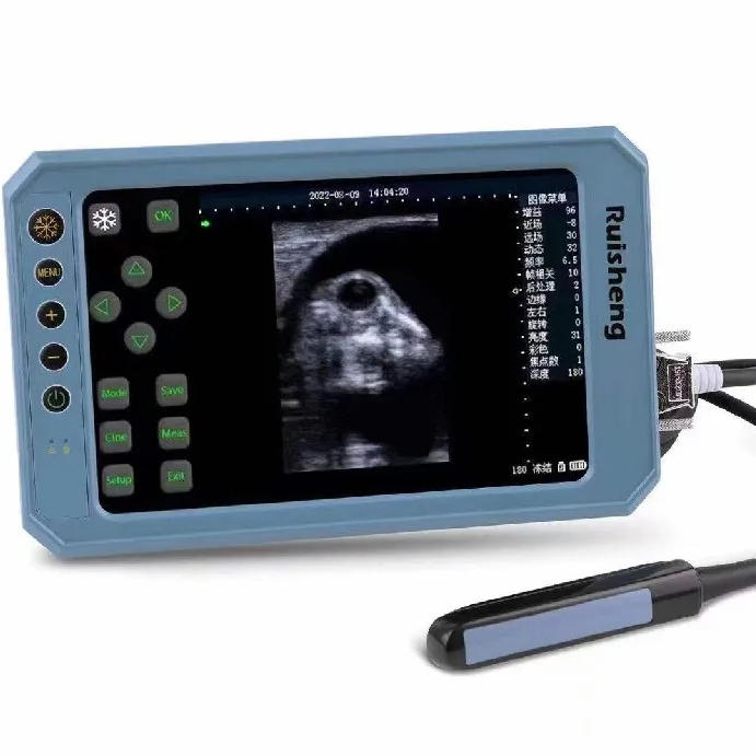 High - definition Real - time Waterproof and Dustproof Veterinary B - ultrasonic Device for Immediate Diagnosis