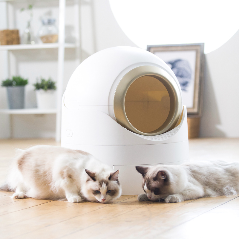 PetnessGo PP пластиковый современный стиль розовый зеленый серый складной закрытый туалет для кошачьего туалета