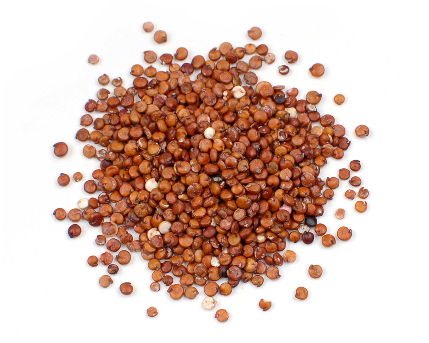 Lowest Price High Quality Wholesale Pure Quinoa Seeds