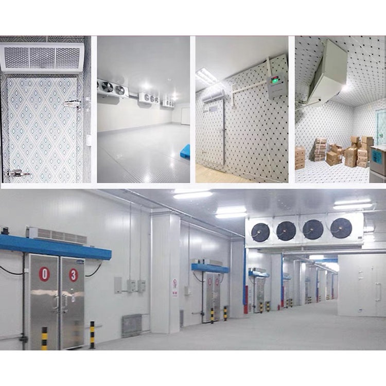 Food Storage Deep Freezer Cold room for Fish