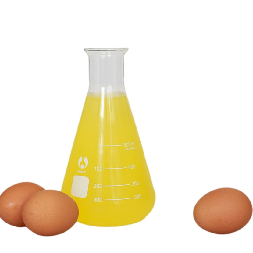 Shelf life minus 18 degrees celsius 24 months firm and lumpy high quality dried frozen egg white liquid