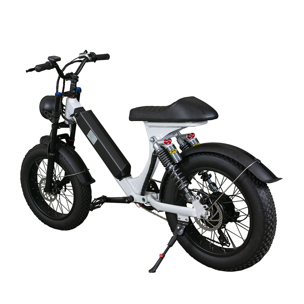 Special design 500w motor popular special electric bike