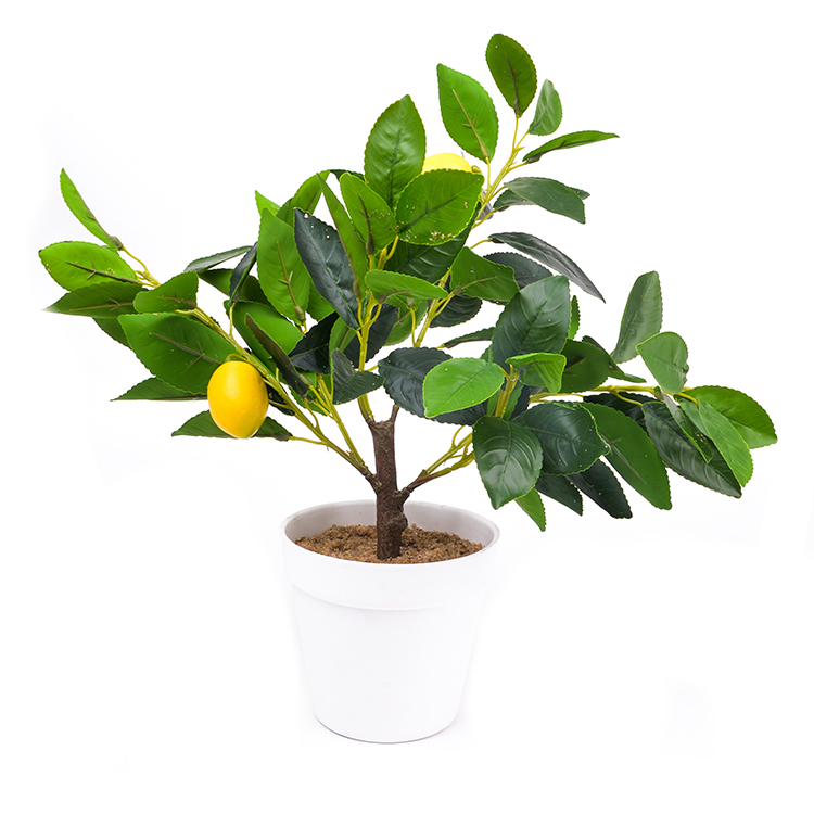 Custom Plant Pot Suppliers Lemon Clementine Olives Bamboo Cheap Plant Pots