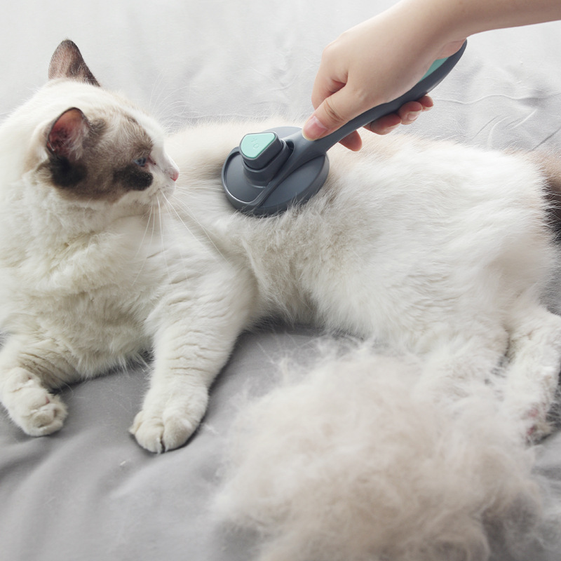 Hot sale, easy to wash dog hair and cat hair, durable to remove dog hair from pet comb