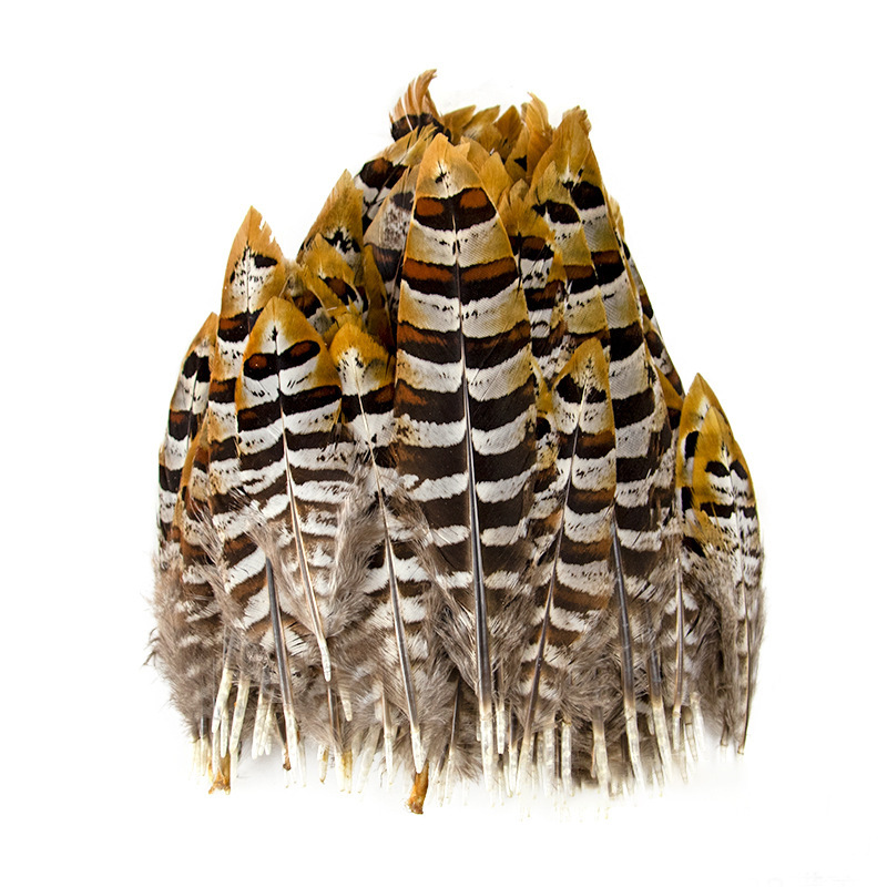50 Piece/Bag Natural colorful wild chicken feather figure Pheasant feathers for DIY garment craft accessories width 6-16 cm