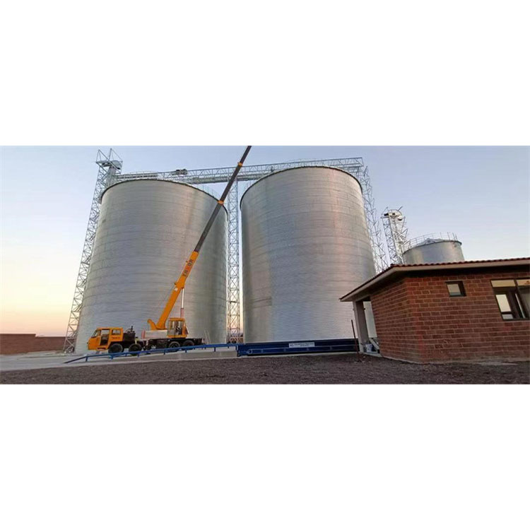 ODM Manufacturer Granary Flat Bottom Grain Silos for Chicken Farm