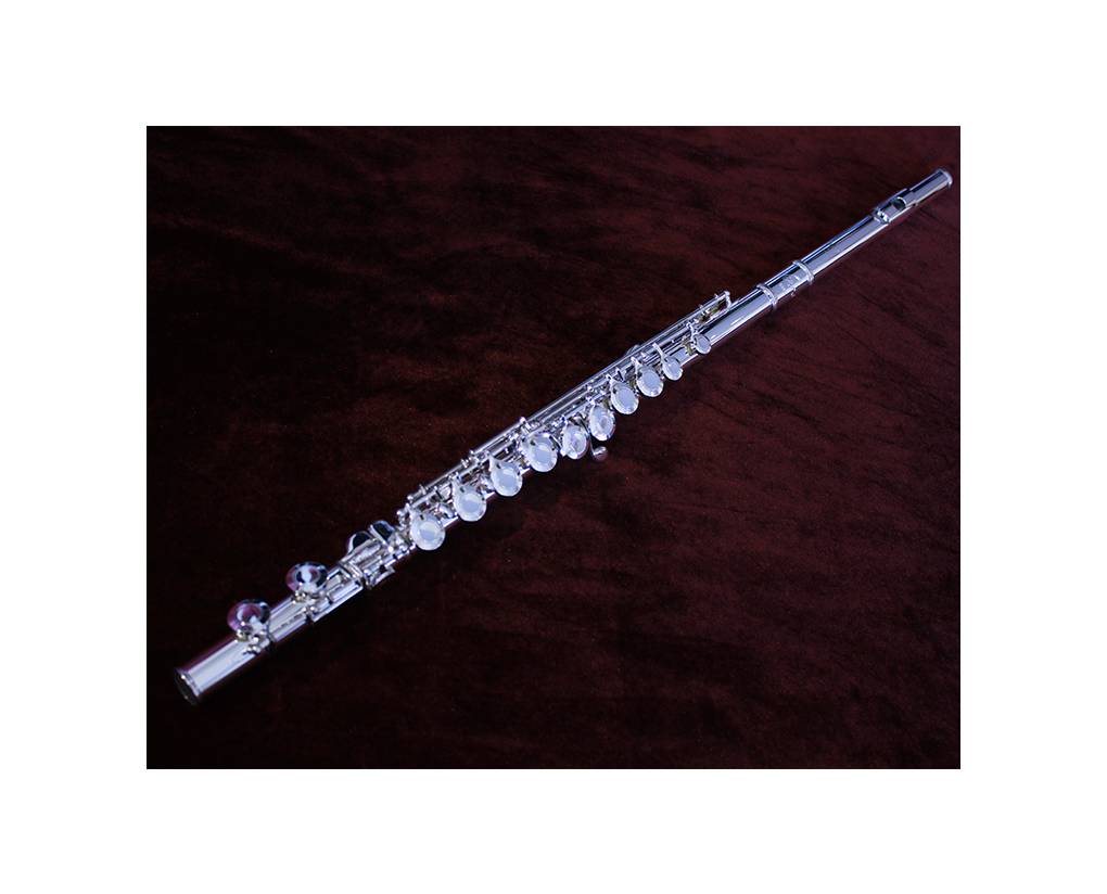 Professional Manufacture Silver Nickel Plated Colse Hole C Tone Flute Instrument