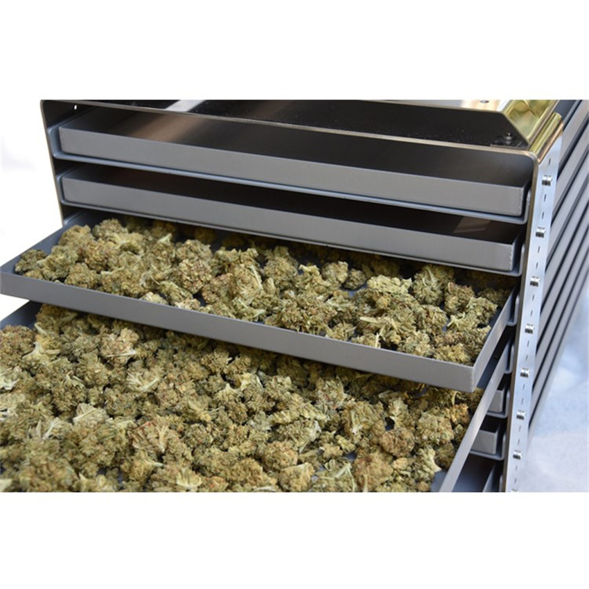 Сушилка для фруктов CBD WAVE FD260-многоцелевая сушилка 3,6 qm