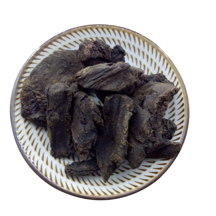 Bulk Rheum Tanguticum Maxim Rhei Radix L from China