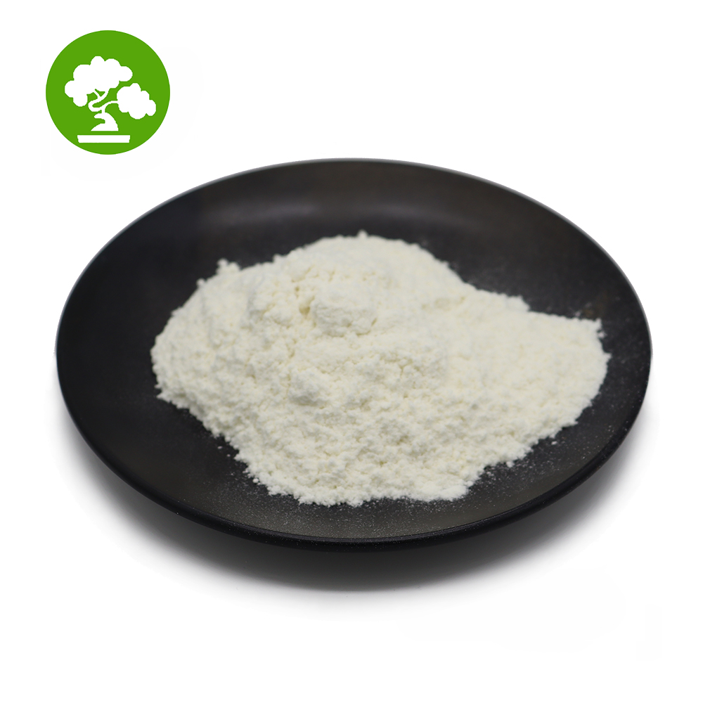 Factory Supply Competitive Bifidobacterium Bifidum Price