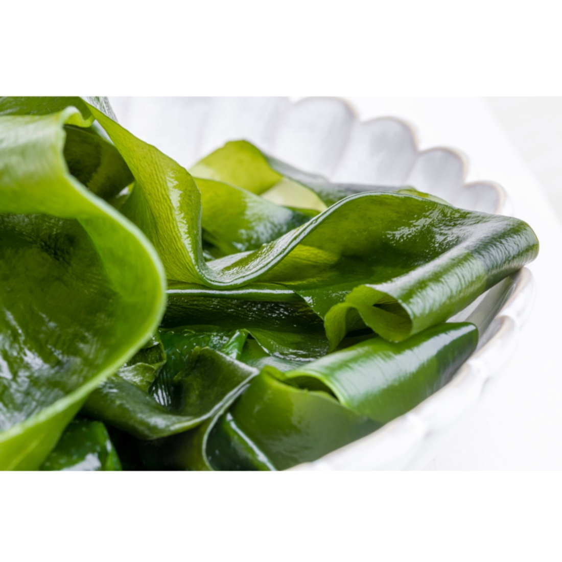 Wholesale green food fresh organic salt wakame