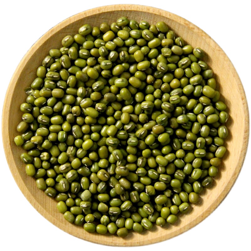 China Wholesale Green Mung bean Fresh Dried Mung Bean