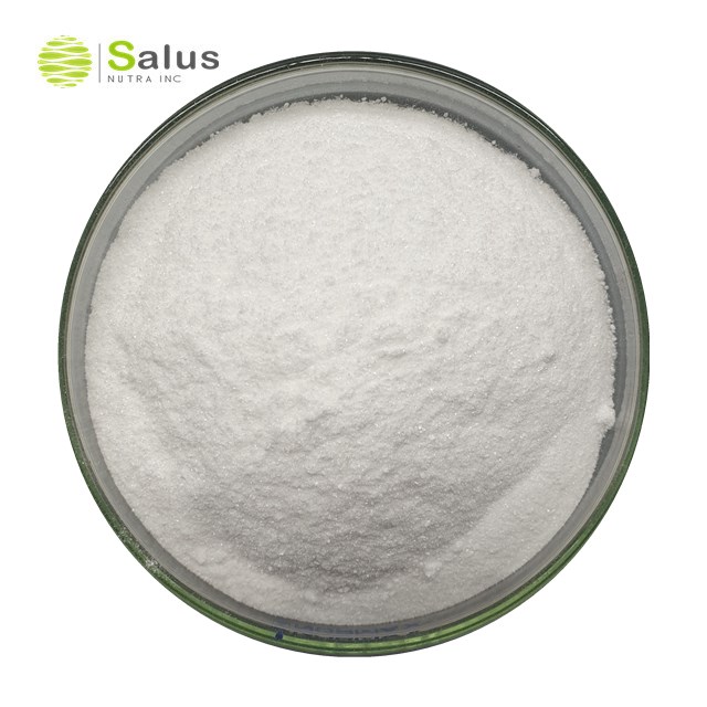 Hot Sale Probiotics Lactobacillus bulgaricus