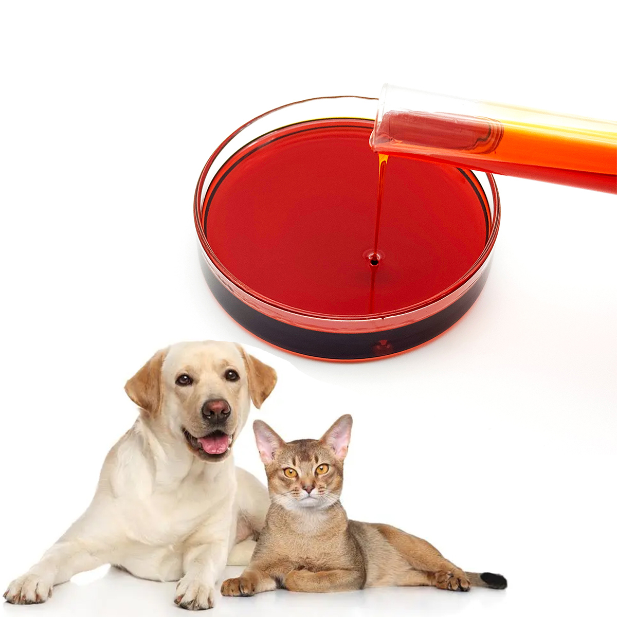 Hot Sale Antarctic Krill Oil Pet Food Adult Cat Dry Fish And Shrimp Kg Weight Krill Oil For Pet