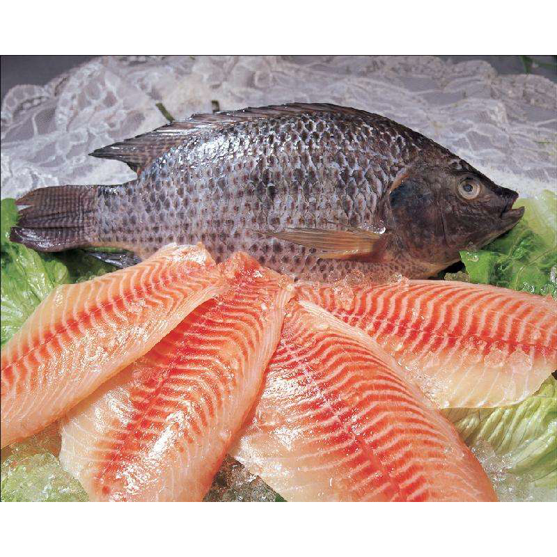 Замороженное Филе Pangasius цена филе рыбы тилапии