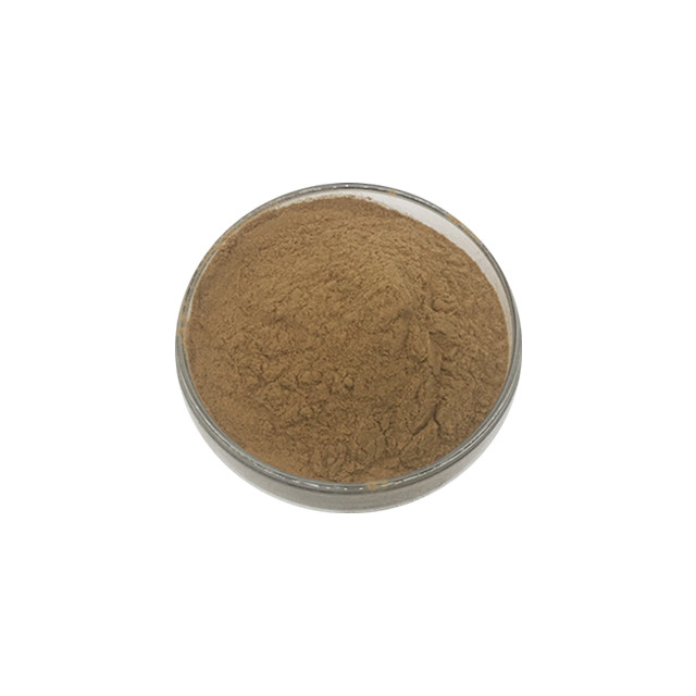 Hot Sale Banaba Extract Corosolic Acid Powder