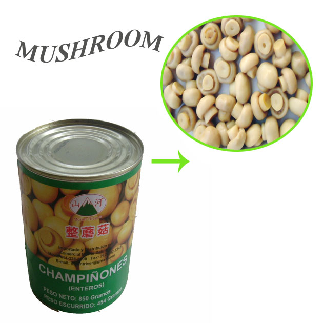 fresh canned mushroom champignons canned mushroom in brine