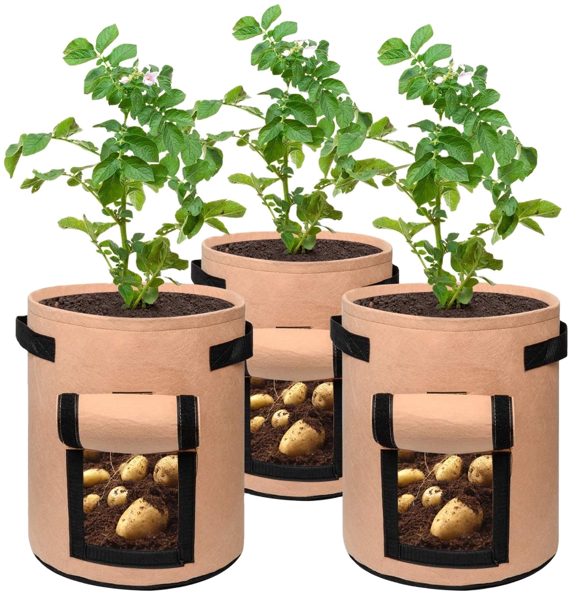 Patato Grow Bags 7 Gallon Garden Planting Bag Fabric Pot with Handles for Planter