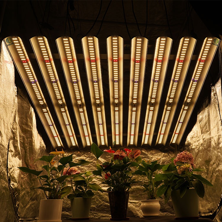 Meijiu Лидер продаж LM301B гидропоники растения led grow light 1000w, Rita Fang samsung адвокатского сословия СИД растет свет полосы света для крытого сада
