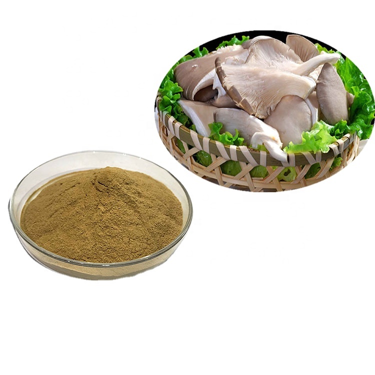 factory direct supply hot selling liquid-solid extraction herbal extract oyster mushroom extract powder