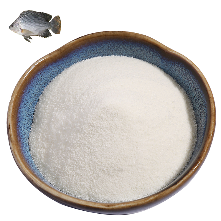 Natural High Quality Food Grade Fish Glue Powder And Beauty Powder Marine Collagen Peptide