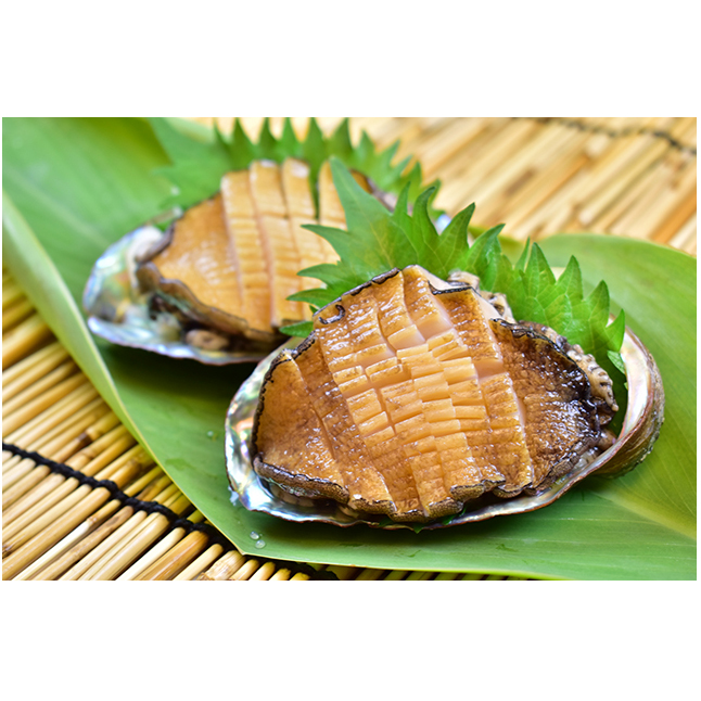 Perfect sea flavor cooked abalone Japan suppliers snacks seafood dishes